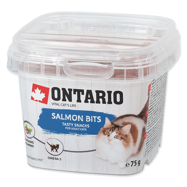 Ontario snack Salmon bits