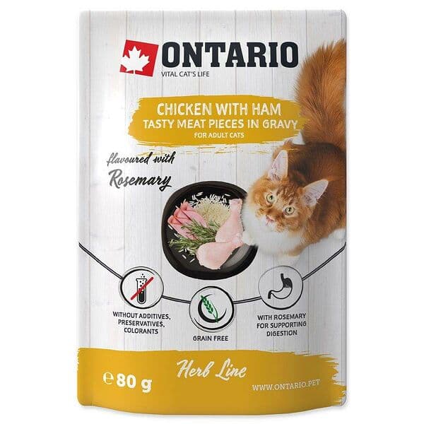 Ontario լրացուցիչ կեր կատուների համար՝ հավ և խոզապուխտ սոուսի մեջ