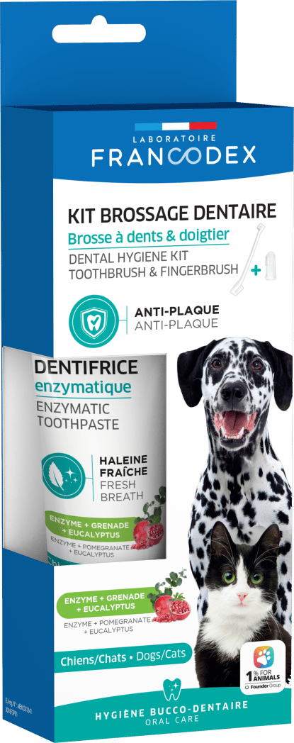 Dental Hygiene Kit