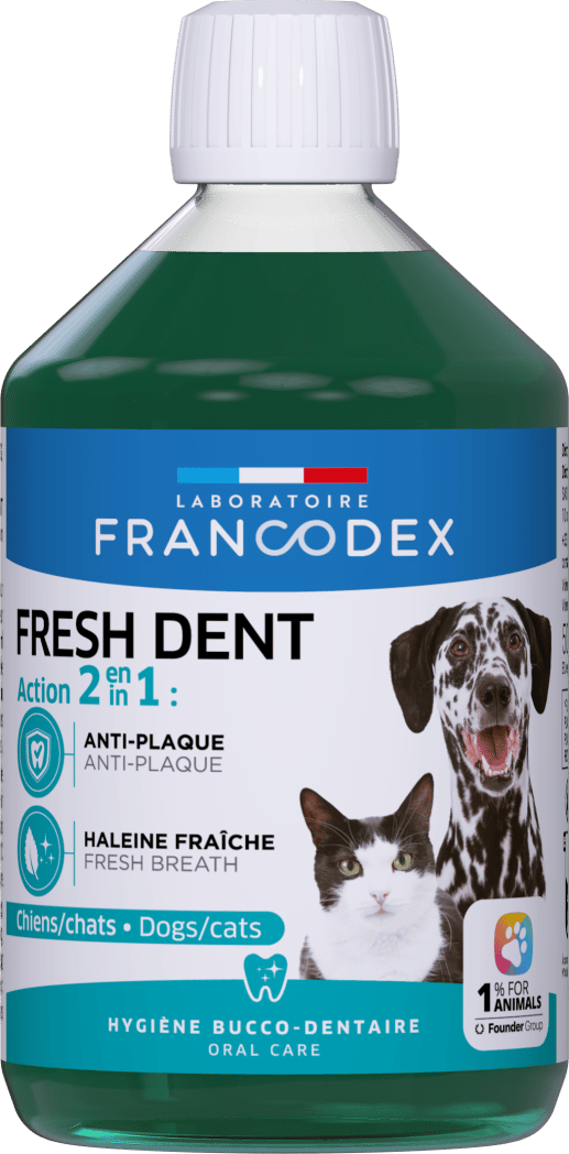 Fresh Dent «2 в 1»
